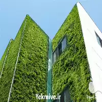 اجرای دیوار سبز در باغ گل در تهران در گروه سازنده در یکمیوه