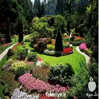 اجرای فضای سبز در باغ گل در گروه خدمات باغبانی در یکمیوه