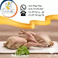 آگهی مشابه خرید تامین و عرضه گوشت بلدرچین در تهران در گروه مرغ و خروس و بوقلمون و اردک قو قاز در یکمیوه