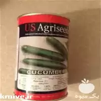 قیمت خرید بذر خیار ماکسیموس در هرمز در گروه خرید و فروش بذر خیار در یکمیوه