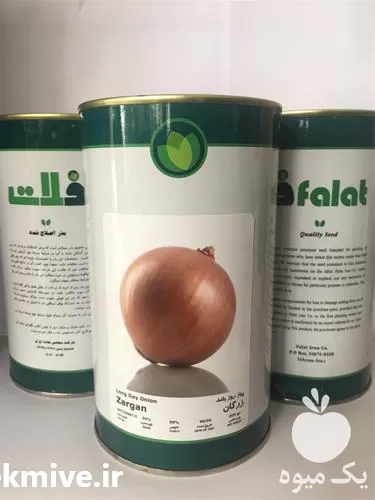 قیمت خرید بذر پیاز زرد زرگان در خوزستان در گروه خرید و فروش بذر پیاز در یکمیوه -عکس1