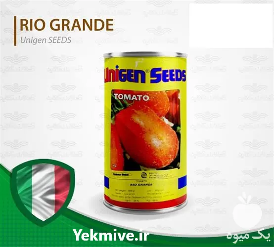 خرید بذر گوجه فرنگی یونی ژن در گلستان در گروه خرید و فروش بذر گوجه در یکمیوه -عکس1