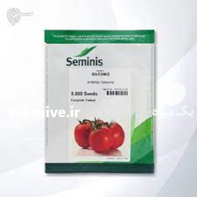 بذر گوجه فرنگی باسیمو در اصفهان در گروه خرید و فروش بذر گوجه در یکمیوه -عکس1
