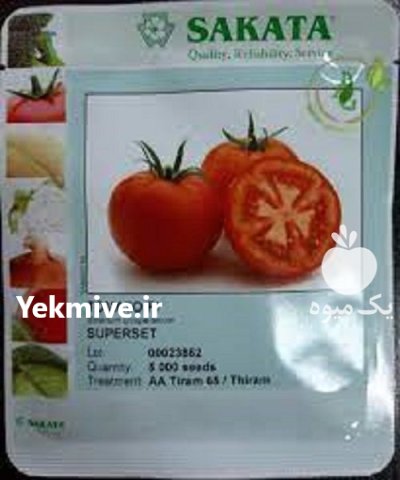 بذر گوجه فرنگی ساکاتا در گروه خرید و فروش بذر گوجه در یکمیوه -عکس1