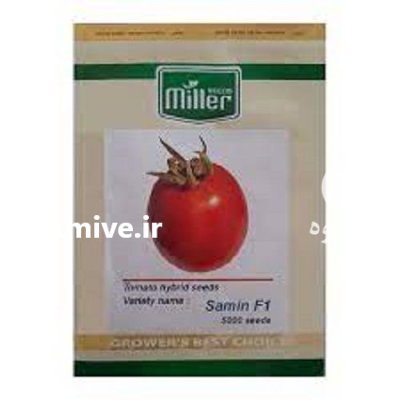 بذر گوجه فرنگی ثمین در یزد در گروه خرید و فروش بذر گوجه در یکمیوه -عکس1