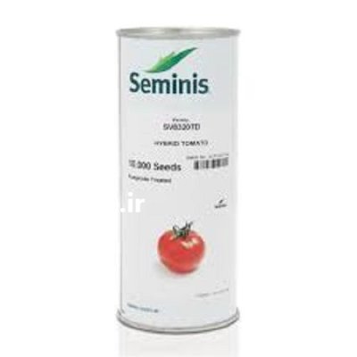 بذر گوجه فرنگی 8320 در مازندران در گروه خرید و فروش بذر گوجه در یکمیوه -عکس1