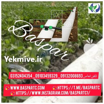 رول های پلاستیکی آبیاری در الیگودرز در گروه خرید و فروش لوله کشاورزی در یکمیوه -عکس1