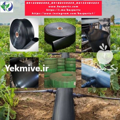 لوله پلی اتیلن کشسان در گروه خرید و فروش لوله کشاورزی در یکمیوه -عکس1