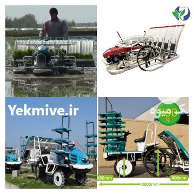 نشاکار برنج در الیگودرز در گروه خرید و فروش دستگاه نشا در یکمیوه -عکس1