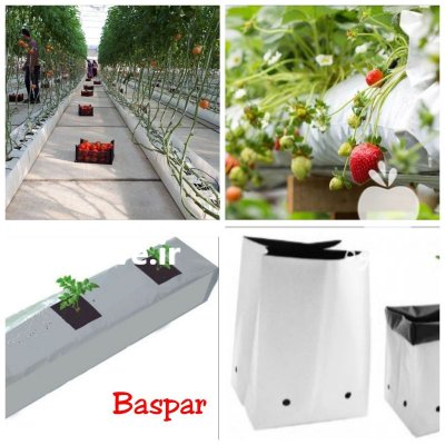 کیسه کشت گروبک در خرم آباد در گروه خرید و فروش بسته بندی نایلونی در یکمیوه -عکس1