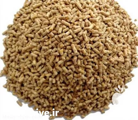 فروش دان مرغ بومی در گروه مرغ و خروس و بوقلمون و اردک قو قاز در یکمیوه -عکس1