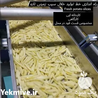 راه اندازی خط تولید خلال سیب در تهران در گروه خرید و فروش خط تولید در یکمیوه -عکس1