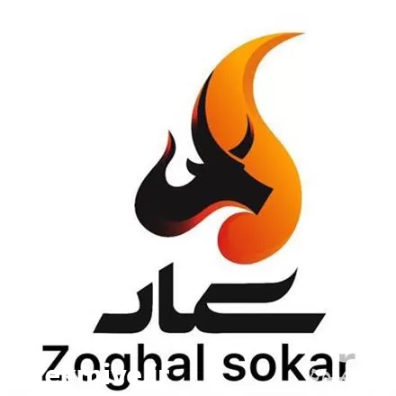 تولید ذغال حبه ای چینی در گروه خرید و فروش زغال در یکمیوه -عکس1