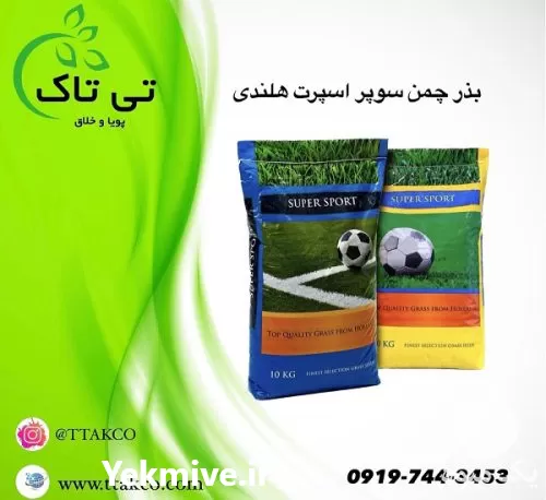 فروش بذر چمن شبدر دایکوندرا در گرگان در گروه خرید و فروش بذر چمن در یکمیوه -عکس1