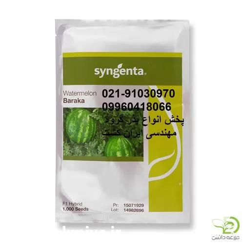 فروش بذر هندوانه باراکا سینجنتا در خوزستان در گروه خرید و فروش بذر هندوانه در یکمیوه -عکس1