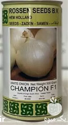 بذر پیاز سفید چمپیون با کیفیت در گروه خرید و فروش بذر پیاز در یکمیوه -عکس1