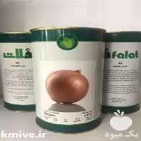 قیمت خرید بذر پیاز زرد زرگان در خوزستان در گروه خرید و فروش بذر پیاز در یکمیوه