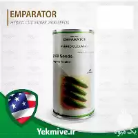 فروش بذر خیار امپراطور سمینیس آمریکا در اردبیل در گروه خرید و فروش بذر خیار در یکمیوه
