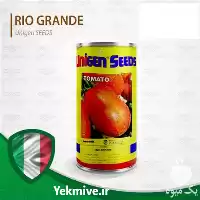 خرید بذر گوجه فرنگی یونی ژن در گلستان در گروه خرید و فروش بذر گوجه در یکمیوه