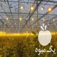 قیمت خرید شید ذخیره انرژی در تهران در گروه خرید و فروش توری گلخانه در یکمیوه