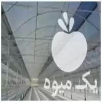 فروش گونی کف گلخانه در تهران در گروه خرید و فروش گونی در یکمیوه