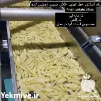 راه اندازی خط تولید خلال سیب در تهران در گروه خرید و فروش خط تولید در یکمیوه