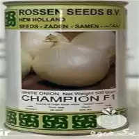 بذر پیاز سفید چمپیون با کیفیت در گروه خرید و فروش بذر پیاز در یکمیوه