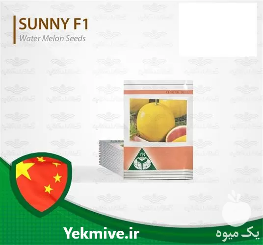 بذر هندوانه خاص جذاب پوست زرد در خراسان رضوی در گروه خرید و فروش بذر هندوانه در یکمیوه -عکس1