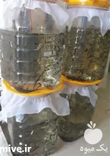 پرورش زالو طبی یه صورت حضوری در تهران در گروه دوره آموزش کشاورزی در یکمیوه -عکس1