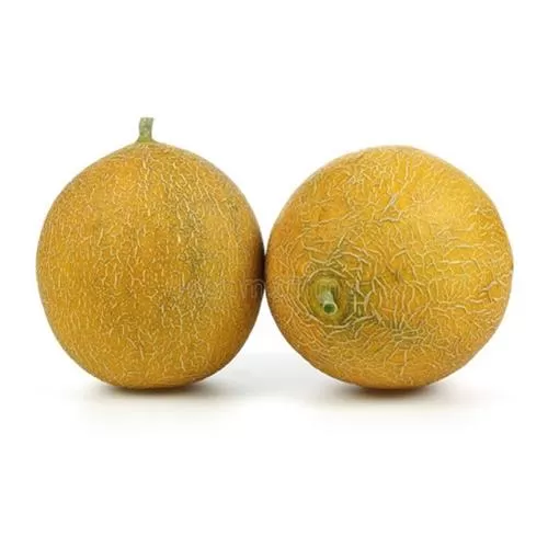 خرید بذر ملون و الر باسف المان در تهران در گروه خرید و فروش بذر خربزه در یکمیوه -عکس1