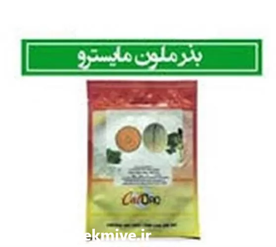 بذر خربزه ملون مایسترو مشابه جانا در مازندران در گروه خرید و فروش بذر خربزه در یکمیوه -عکس1
