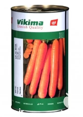 خرید بذر هویج و یکیما قیمت بذر در گروه خرید و فروش بذر هویج در یکمیوه -عکس1