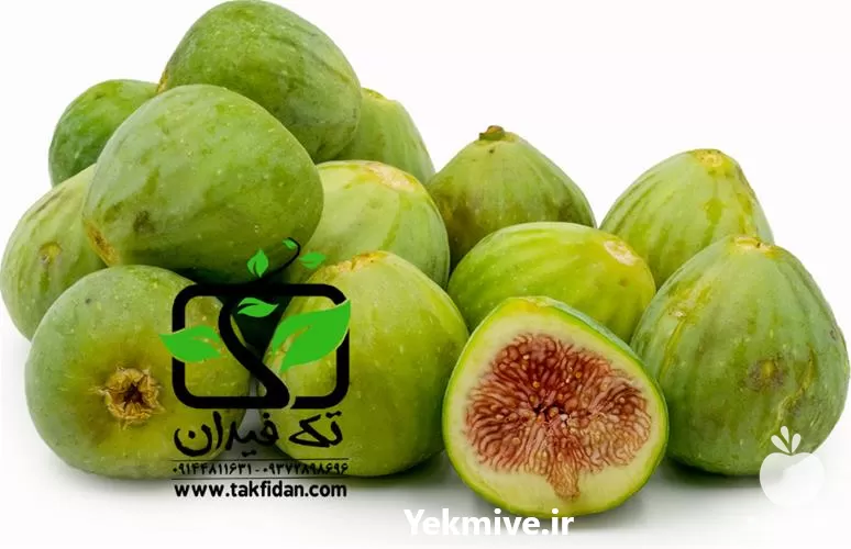 خرید نهال انجیر زرد پیازی در گروه خرید و فروش نهال در یکمیوه -عکس1