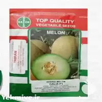 قیمت خرید بذر خربزه هلندی در اصفهان در گروه خرید و فروش بذر خربزه در یکمیوه