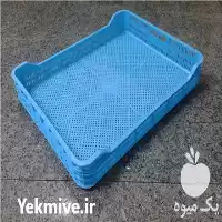 قیمت خرید سبد طبق حمل کشمش در تهران در گروه خرید و فروش انواع سبد در یکمیوه