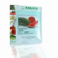 خرید بذر هندوانه دایتونا پاکتی ساکاتا در گروه خرید و فروش بذر هندوانه در یکمیوه