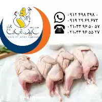 آگهی مشابه تامین عرضه گوشت بلدرچین گرم منجمد در تهران در گروه مرغ و خروس و بوقلمون و اردک قو قاز در یکمیوه