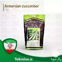 بذر بادمجان در تهران در گروه خرید و فروش بذر بادمجان در یکمیوه