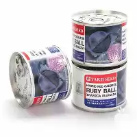 بذر کلم برگ قرمز هیبرید روبی در تهران در گروه خرید و فروش انواع بذر در یکمیوه