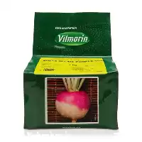 خرید بذر شلغم دو رنگ ویلمورین در کرمان  در گروه خرید و فروش انواع بذر در یکمیوه