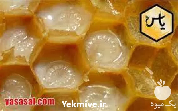 آموزش تولید ژل رویال در تهران در گروه دوره آموزش کشاورزی در یکمیوه -عکس1