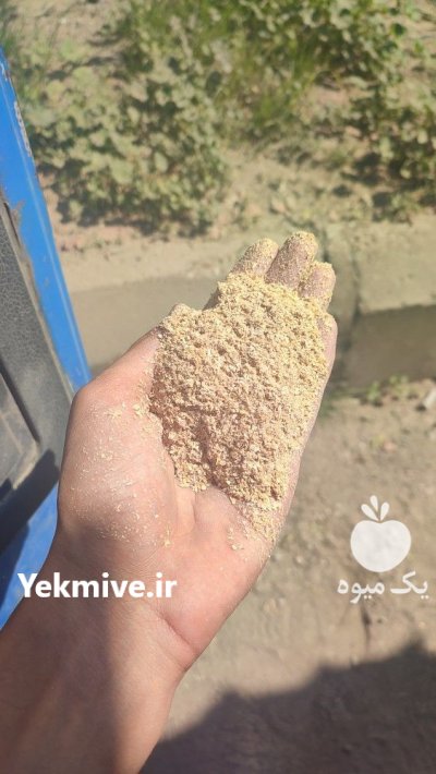 سبوس گندم در اهواز در گروه خرید و فروش گندم و جو در یکمیوه -عکس1
