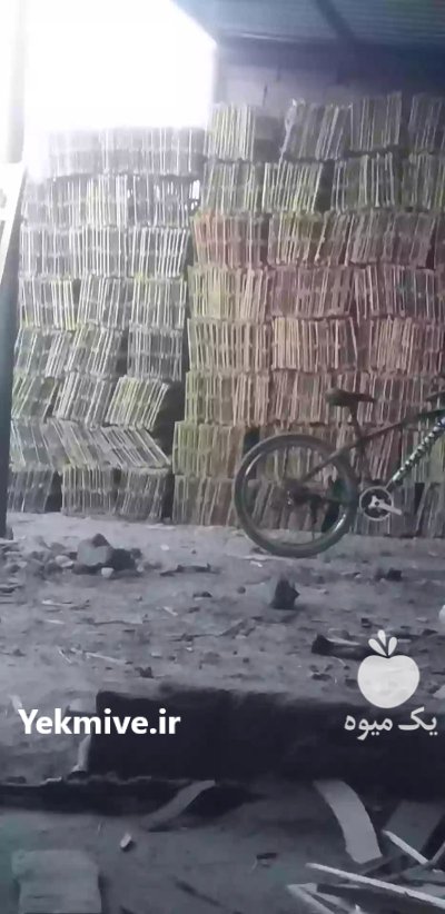 فروشی درب جعبه کاهو در گروه خرید و فروش بسته بندی چوبی در یکمیوه -عکس1