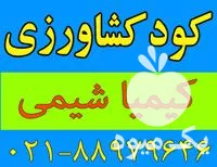 فروش کود کشاورزی در گروه خرید و فروش انواع کود کشاورزی در یکمیوه -عکس1