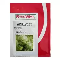 قیمت خرید بذر هندوانه وینستون در بوشهر در گروه خرید و فروش بذر هندوانه در یکمیوه