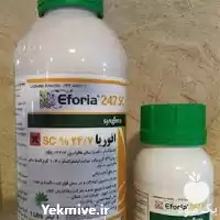 عرضه حشره کش افوریا با نازل در تهران در گروه خرید و فروش انواع سم در یکمیوه
