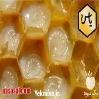 آموزش تولید ژل رویال در تهران در گروه دوره آموزش کشاورزی در یکمیوه