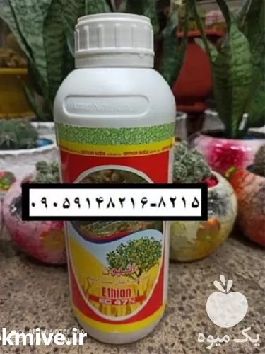 خرید سم حشره کش اتیون در اصفهان در گروه خرید و فروش انواع سم در یکمیوه -عکس1