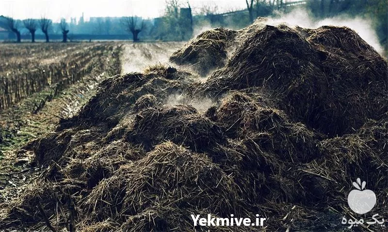 فروش و ارسال انواع کود دامی در تهران در گروه خرید و فروش کود دامی در یکمیوه -عکس1