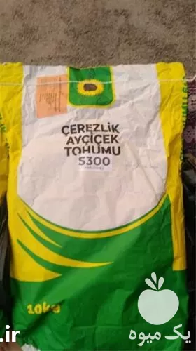 خرید بذر آفتابگردان اس بذر اس در گروه خرید و فروش بذر آفتابگردان در یکمیوه -عکس1